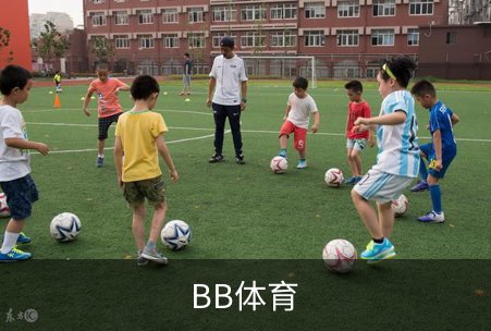 BB体育概况